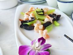 -云中小雅