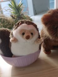 -IMON·HANSA潮玩玩偶毛绒玩具(通州万象汇店)