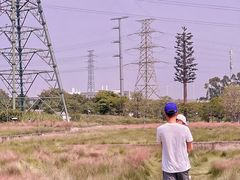 -王借岗森林公园