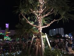 -美国村