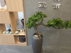 -听雨小筑茶舍(观音桥·龙湖新壹街店)