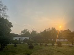 -扬州大运河文化旅游度假区·盆景园