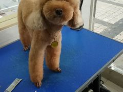 -芭比堂动物医院广州顽皮分院