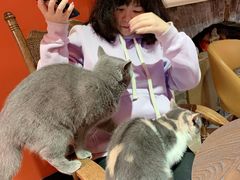 -猫色咖啡·猫咖
