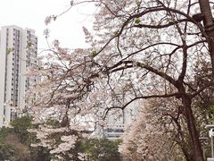 -红星桥(地铁站)