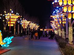 -青龙湖公园