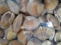 -宾朋海鲜特色美食餐厅·纯手工鲅鱼水饺(兴海路店)