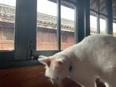 -新月集庭院咖啡馆(老邮局店)