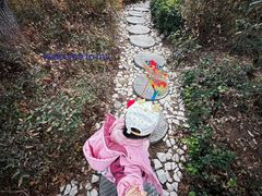 -北岭山森林公园