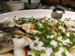 葱油淋鲈鱼-岭南真味·匠心粤菜(K11店)