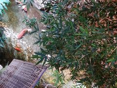 -聚缘堂·海鲜私房菜(松岭路店)