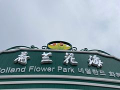 -荷兰花海