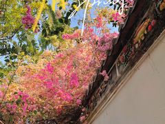 -深圳国际园林花卉博览园