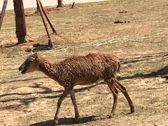 -南京金牛湖风景区