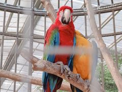 -南宫五洲植物乐园