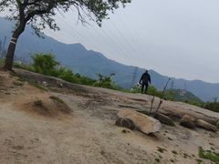 -白水寺森林公园