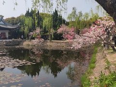 -无锡蠡湖国家湿地公园-蠡园