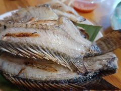 -杨合林啊兰烤鱼