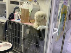 -达爱动物医院·犬猫分区·CT·复杂眼科(远洋山水分院)