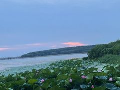 -丁香湖公园