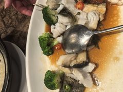 -顺意·顺德家乡菜(国际人才大厦店)