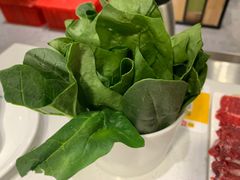 -古乐牛香·鲜牛肉牛杂火锅(吴江三里桥运东商业广场店)