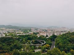 -福道