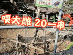 -西霞口神雕山野生动物世界