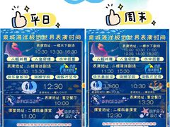 -泉城欧乐堡海洋极地世界