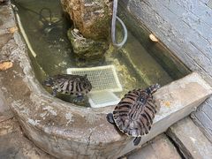 -后海16号·北京私房菜