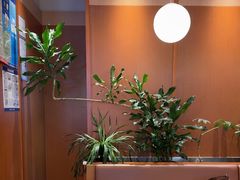 -奈雪的茶(印象城店)