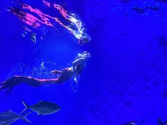 -海合安武汉极地海洋公园