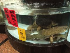 -东豪园林海鲜酒家(南港路辅路店)