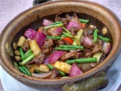 者者猪脷-围龙屋客家食府(福田店)