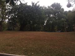-晓港公园