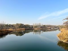 -大兴滨河森林公园