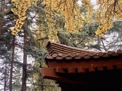 -大慈恩寺(大雁塔)