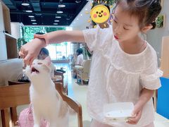 -藏猫猫咖啡主题馆(中央大道店)
