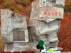 -茅兰沟国家森林公园