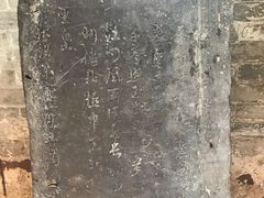 -碧江金楼