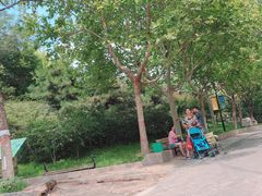 -石家庄市动物园