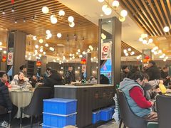 -刘胖子家常菜·蹄花焖藕(中央花园店)