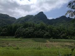 -桃源咖啡厅(武夷山大红袍山庄店)