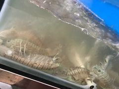 -芽庄老成都川菜馆