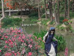 -人民公园(罗湖区)