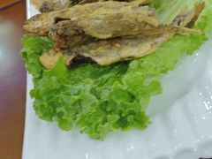 -兰州老马家族食府(康庄总店)