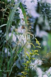 -琥珀婚礼策划AMBER WEDDING