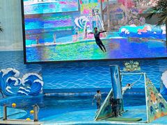 -海合安成都极地海洋公园