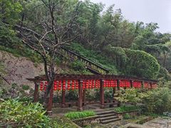 -常德桃花源景区