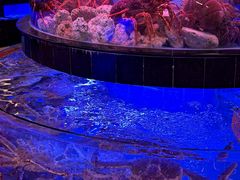 -四海之家(蛇口店)